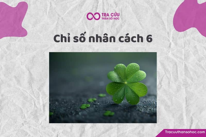 Chỉ số nhân cách 6 là gì? Đặc điểm tính cách và con đường tình yêu, sự nghiệp 1 Chỉ số nhân cách 6: Điểm mạnh, điểm yếu và cách phát triển bản thân