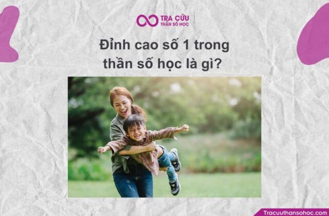 Đỉnh cao số 1 là gì? Đặc điểm và ý nghĩa ở từng giai đoạn trong biểu đồ kim tự tháp