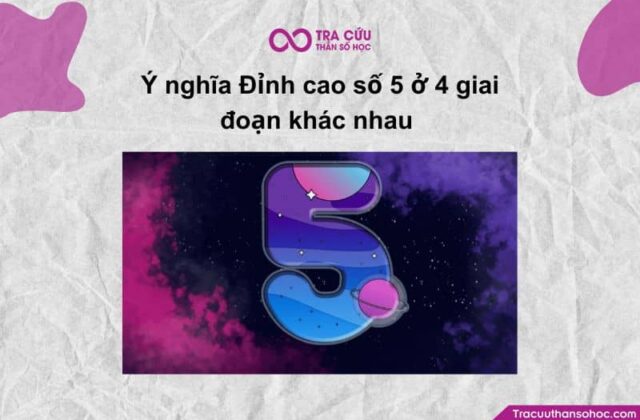 Đỉnh cao số 5 là gì? Đặc điểm và ý nghĩa ở từng giai đoạn trong biểu đồ kim tự tháp
