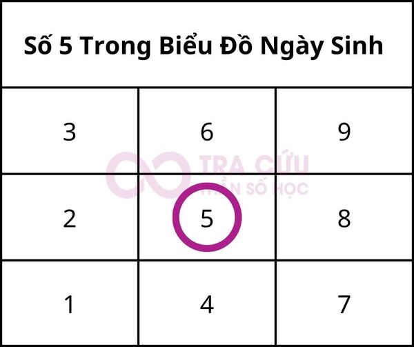 Số 5 trong biểu đồ ngày sinh là gì? Ý nghĩa số lần xuất hiện số 5 trong biểu đồ 1 Ý Nghĩa Số 5 Trong Biểu Đồ Ngày Sinh Thần Số Học