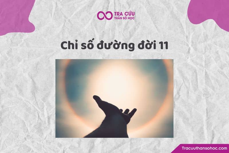 Chỉ số đường đời 11 Chỉ số đường đời 11