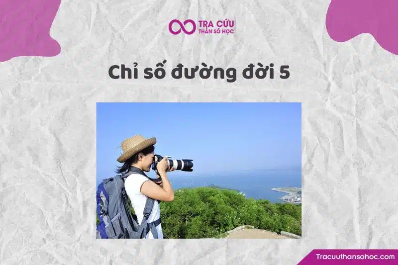 Chỉ số đường đời 5 Chỉ số đường đời 5