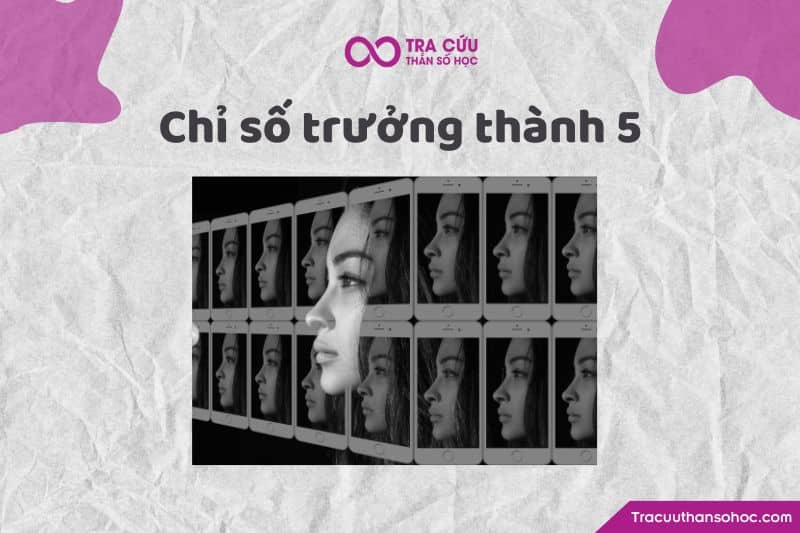 Chỉ số trưởng thành 5 Chỉ số trưởng thành 5