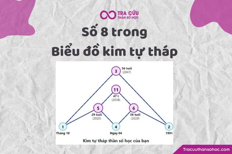 Số 8 trong biểu đồ kim tự tháp Số 8 trong biểu đồ kim tự tháp