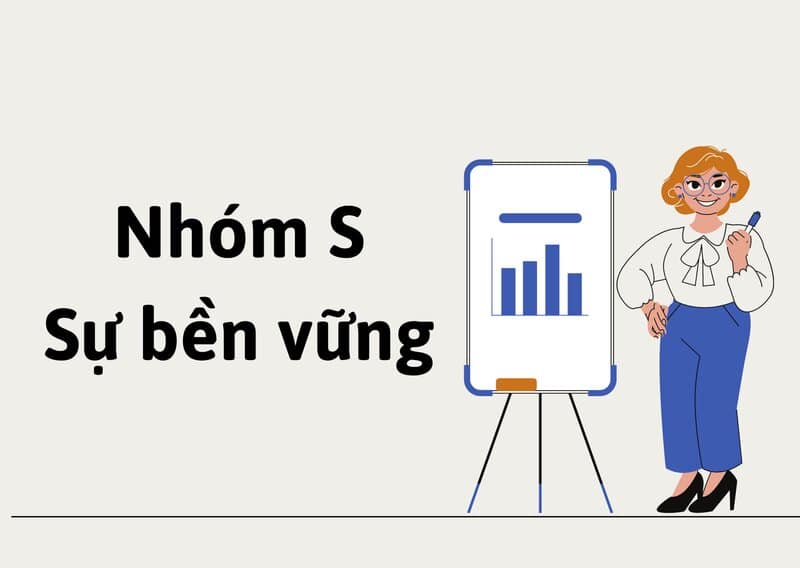 Nhóm S (Steadiness) - nhóm ổn định Nhóm S (Steadiness) - nhóm ổn định