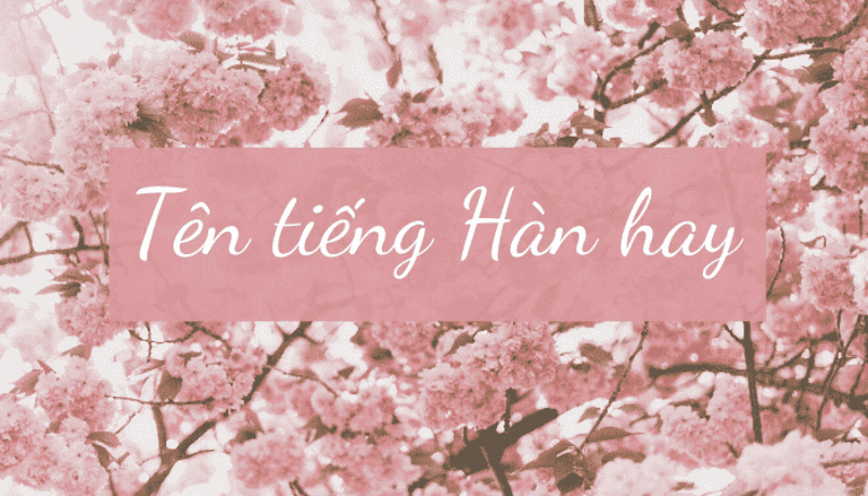 Tìm hiểu chi tiết phong tục, nền văn hóa đặt tên tiếng Hàn Quốc đẹp của người dân c